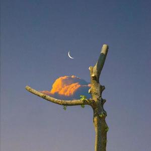 国模被摄影师啪啪呻吟
