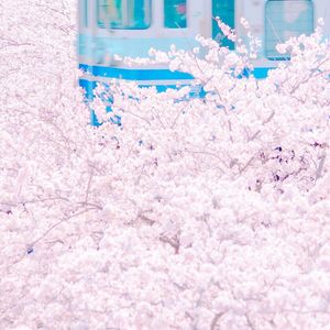 国模被摄影师啪啪呻吟
