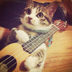 国模被摄影师啪啪呻吟
